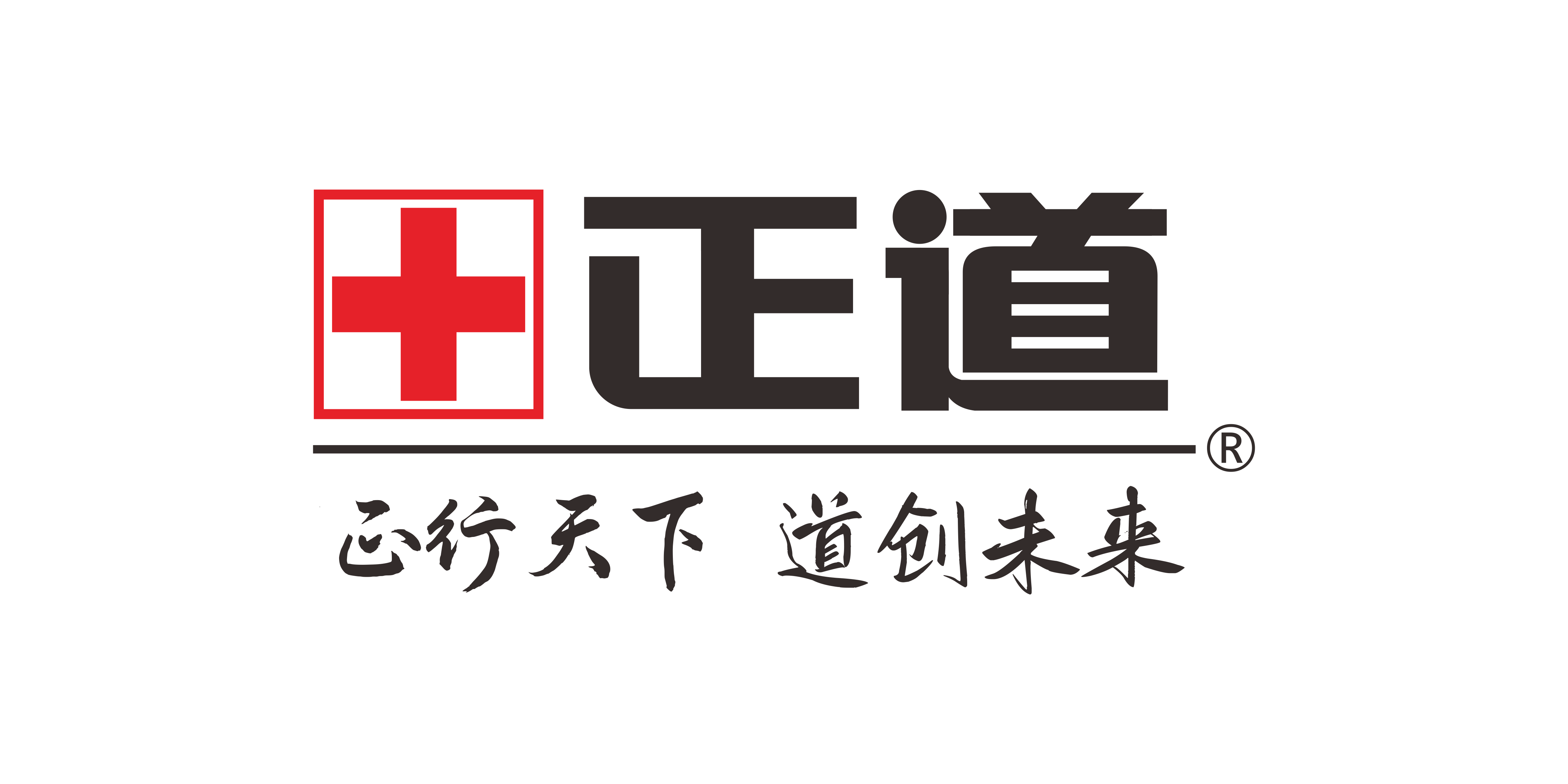 青岛正道药业有限公司