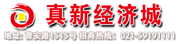 上海真新经济城有限公司