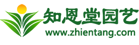 知恩堂园艺 - 你身边的养殖和种植技术专家