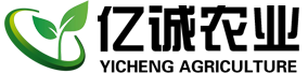 温室大棚建设-智能温室大棚-温室工程厂家报价_青州市亿诚农业科技