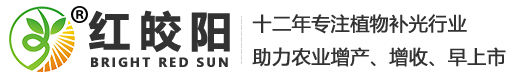 植物生长灯_大棚植物补光灯_草莓补光灯厂家-【陕西星丰】