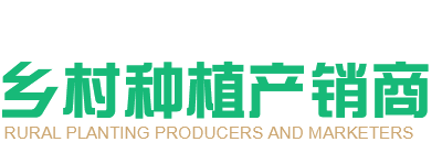 乡村种植产销商