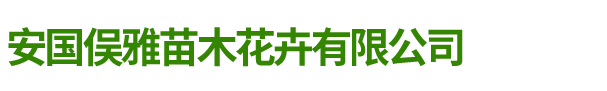 安国俣雅苗木花卉有限公司