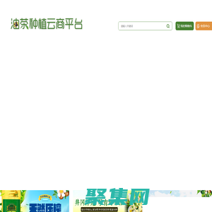 油茶种植云商平台_重庆油茶种植门户网站_重庆油茶种植_重庆油茶销售_重庆油茶批发_重庆油茶订购_酉阳油茶种植技术