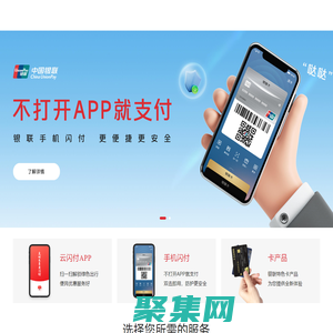 China UnionPay |
             中国银联