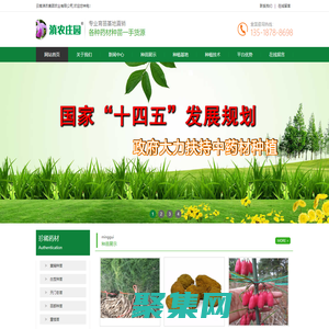 多花不倒苗黄精苗|滇黄精种植技术|白芨种苗批发|林下中药材种植规划|云南滇农集团有限公司昆明基地