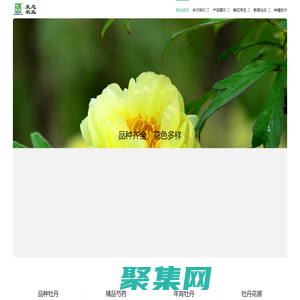 菏泽牡丹芍药网-菏泽市德胜祥生态农业专业合作社