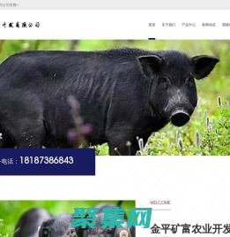 金平矿富农业开发有限公司