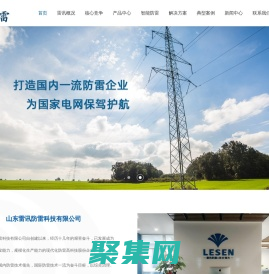 山东雷讯防雷科技有限公司