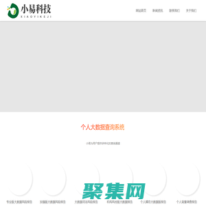 小易大数据平台/大数据信用查询系统/综合评分查询/车辆事故记录查询