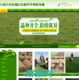 石家庄市栾城区宏源草坪种植基地