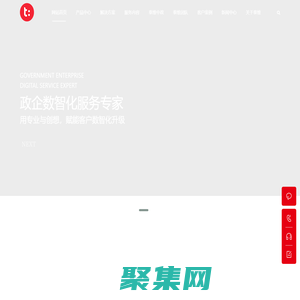 山东泰维数科软件有限责任公司-政企数智化专家