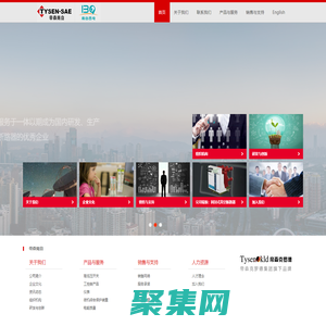 南京帝森南自电气有限公司_断路器_真空断路器_高压真空断路器_ZN139-12_VPN-12_NYKW2_接触器_双电源转换开关_热继电器_多功能智能仪表_电动机保护器_控制保护开关_导轨表