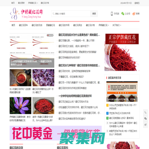 藏红花_藏红花的功效_藏红花价格多少钱一克_西红花怎么吃 - 伊朗藏红花网