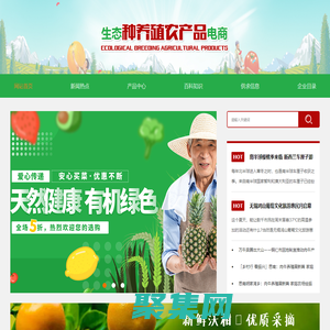 生态种养殖农产品电商