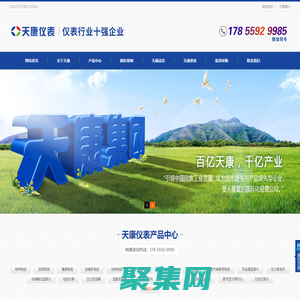 天康仪表 - 安徽天康(集团)股份有限公司