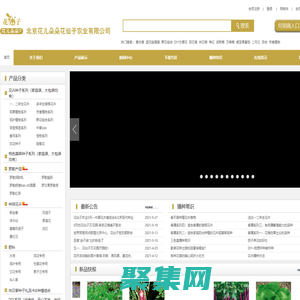 首页―北京花仙子园艺―专业种子培育，批发零售各种花卉、花种、苗木