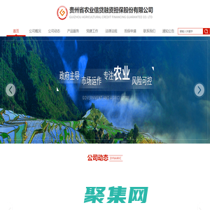 贵州省农业信贷融资担保股份有限公司——首页