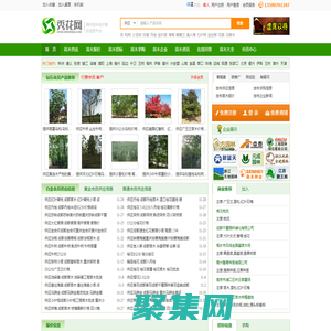秀花网-绿化苗木花卉推广B2B网站