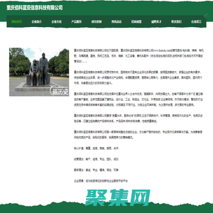 重庆佰科蓝亚信息科技有限公司