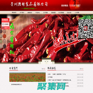贵州黔辣食品有限公司