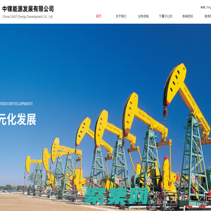 中锞能源发展有限公司