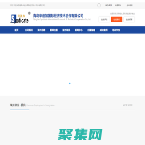 青岛辛迪加国际经济技术合作有限公司