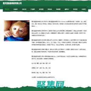 重庆蓝盈盈网络有限公司