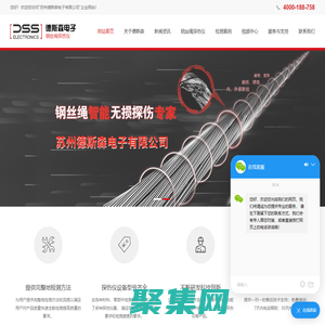 钢丝绳探伤仪-探伤仪-苏州德斯森电子有限公司