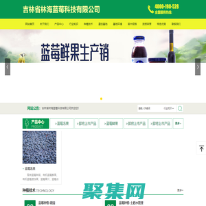 吉林省林海蓝莓科技有限公司