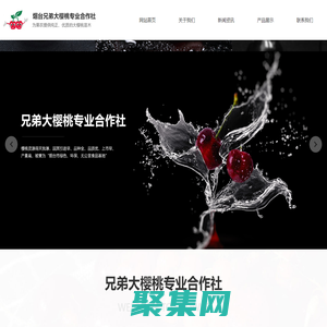 烟台大樱桃,烟台大樱桃树苗,烟台大樱桃苗木合作社,烟台兄弟大樱桃专业合作社