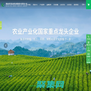 湖南省茶业集团股份有限公司_安化黑茶_千两茶_茶叶种植生_茶叶加工生产