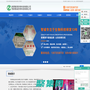 药用辅料厂家_药用糊精_药用淀粉厂家-西安智诚生物科技有限公司