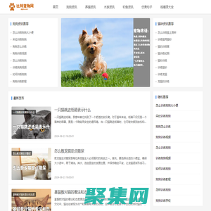 比特宠物吧 宠物资讯 句子 祝福语大全