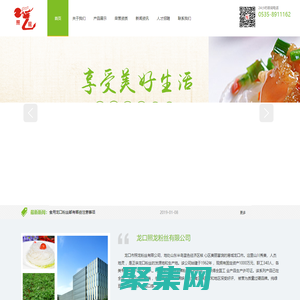 龙口照龙粉丝有限公司