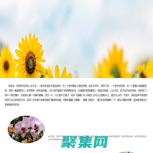 懒人网 - 手机游戏,软件应用,安卓游戏,安卓软件,矢量图,网页素材综合下载站 - 学会偷懒，懒出境界！