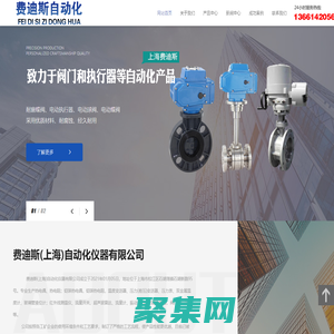 费迪斯(上海)自动化仪器有限公司-