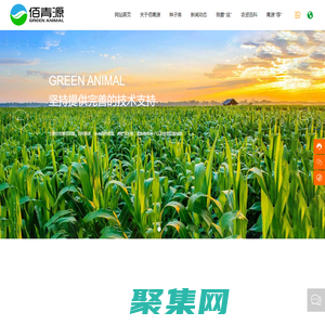 北京佰青源畜牧业科技发展有限公司 | 青绿饲料 | 紫花苜蓿