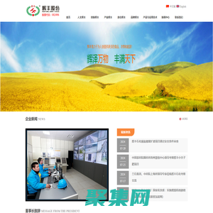 辉丰股份有限公司