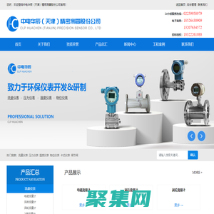 中电华辰（天津）精密测器股份公司_流量计,物位计,压力表