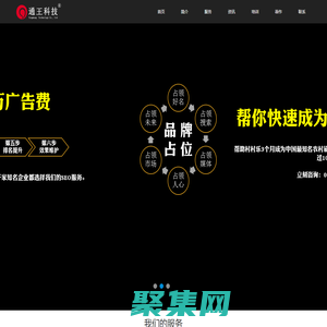 SEO·品牌推广·网络营销策划·王通