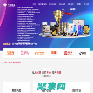 武汉火蝠电子商务有限公司-淘宝代运营_电商代运营公司_天猫代运营方案_网店代运营价格