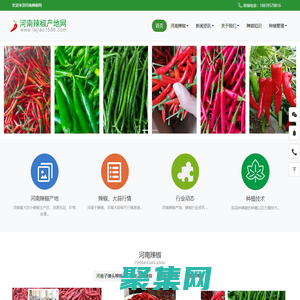 河南辣椒产地网-河南辣椒|河南花皮小辣椒|河南辣椒产地|河南三鹰椒八号|河南干辣椒|二红辣椒|干绿椒|河南红太阳辣椒|河南辣椒价格行情|河南朝天椒