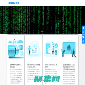 DSSVCS网络验证-可跨系统平台部署且无需安装任何运行依赖