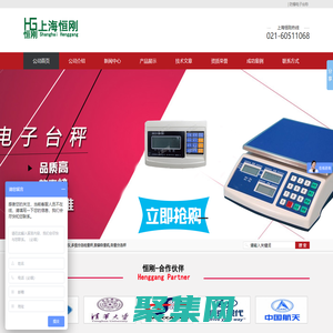 选别秤,金属检测仪,多级分选检重秤,胶囊称重机,称重分选秤-_上海恒刚仪器仪表有限公司