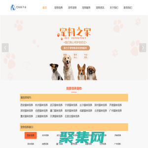 宠联联猫咪狗狗宠物领养平台