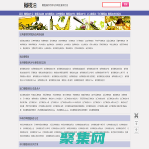 橄榄油的功效与作用_橄榄油的食用方法_橄榄油的用法_橄榄油的价格_橄榄油之恋