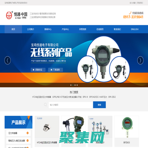 宝鸡恒通电子有限公司