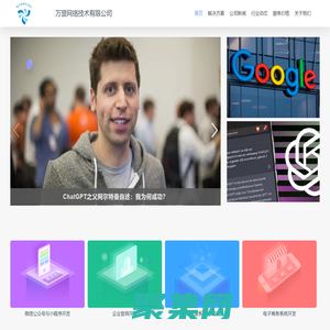 万盟网络 承接官网开发 系统定制