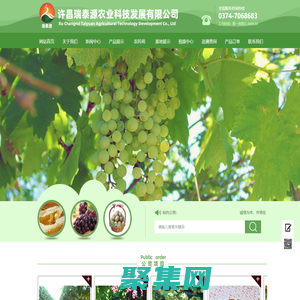 许昌草莓园|许昌葡萄园|许昌农业公司|许昌瑞泰源农业科技发展有限公司